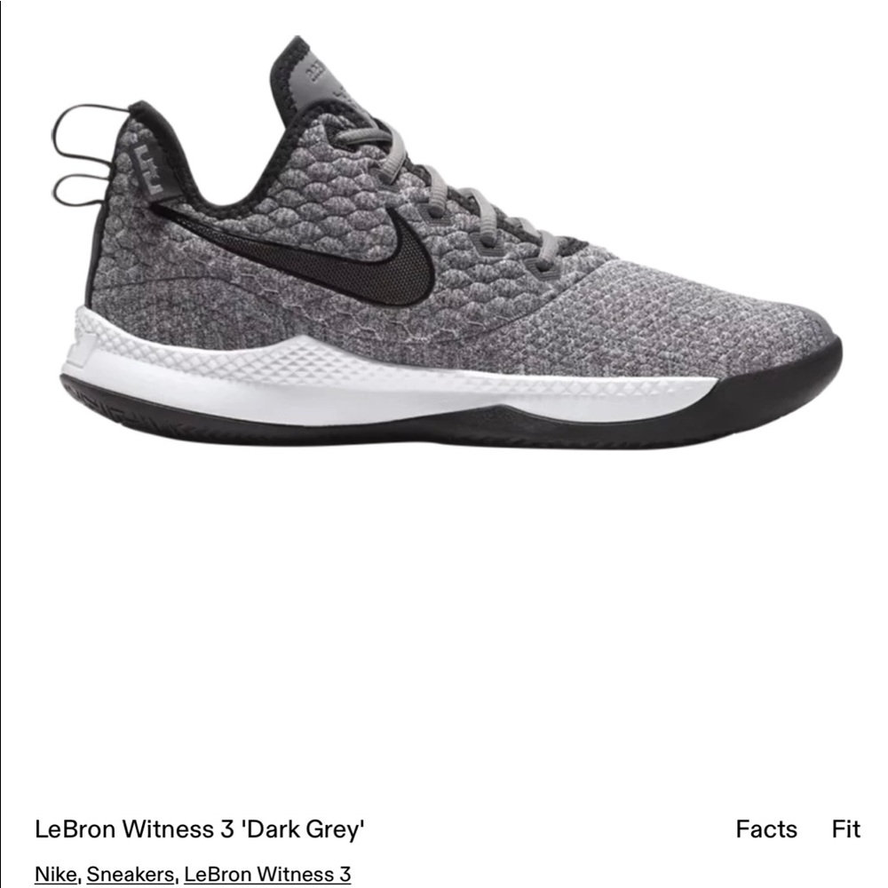LeBron Witness 3 Nike Air Sneakers